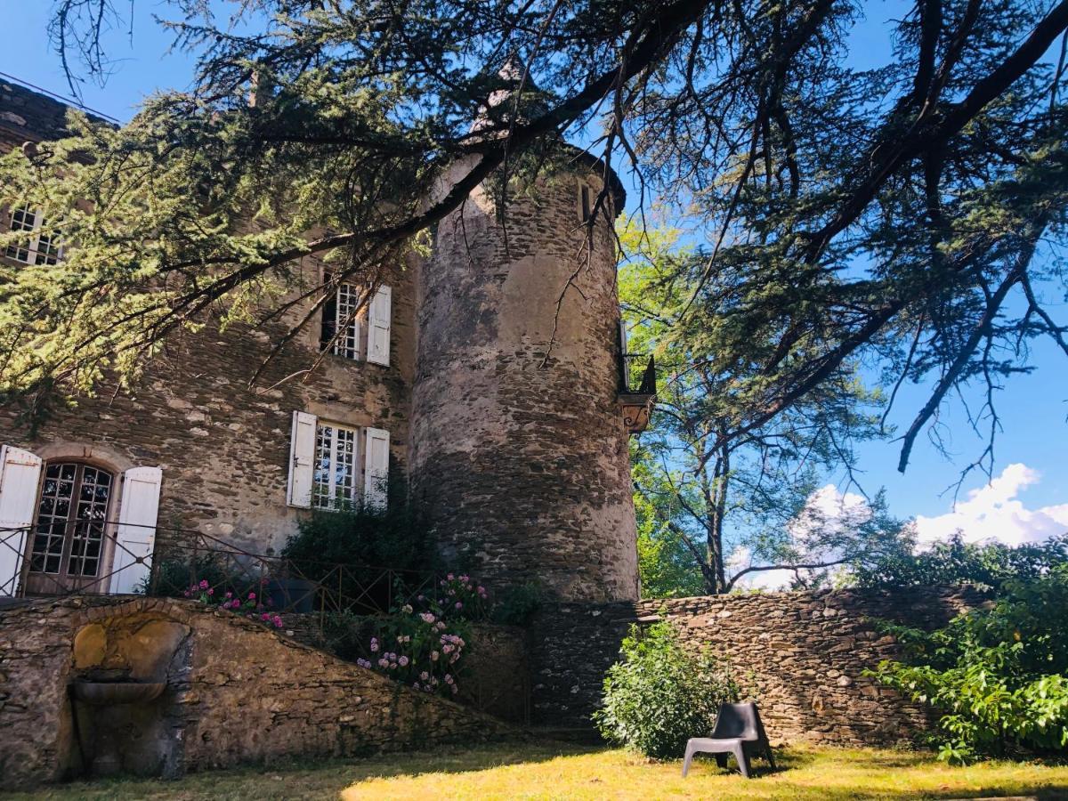 Le Chateau De Cambiaire Saint-Etienne-Vallee-Francaise Bagian luar foto