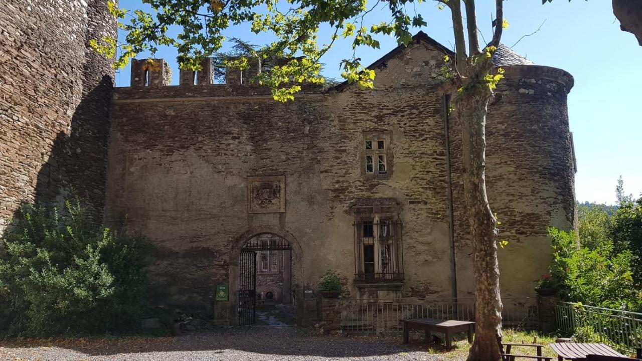 Le Chateau De Cambiaire Saint-Etienne-Vallee-Francaise Bagian luar foto
